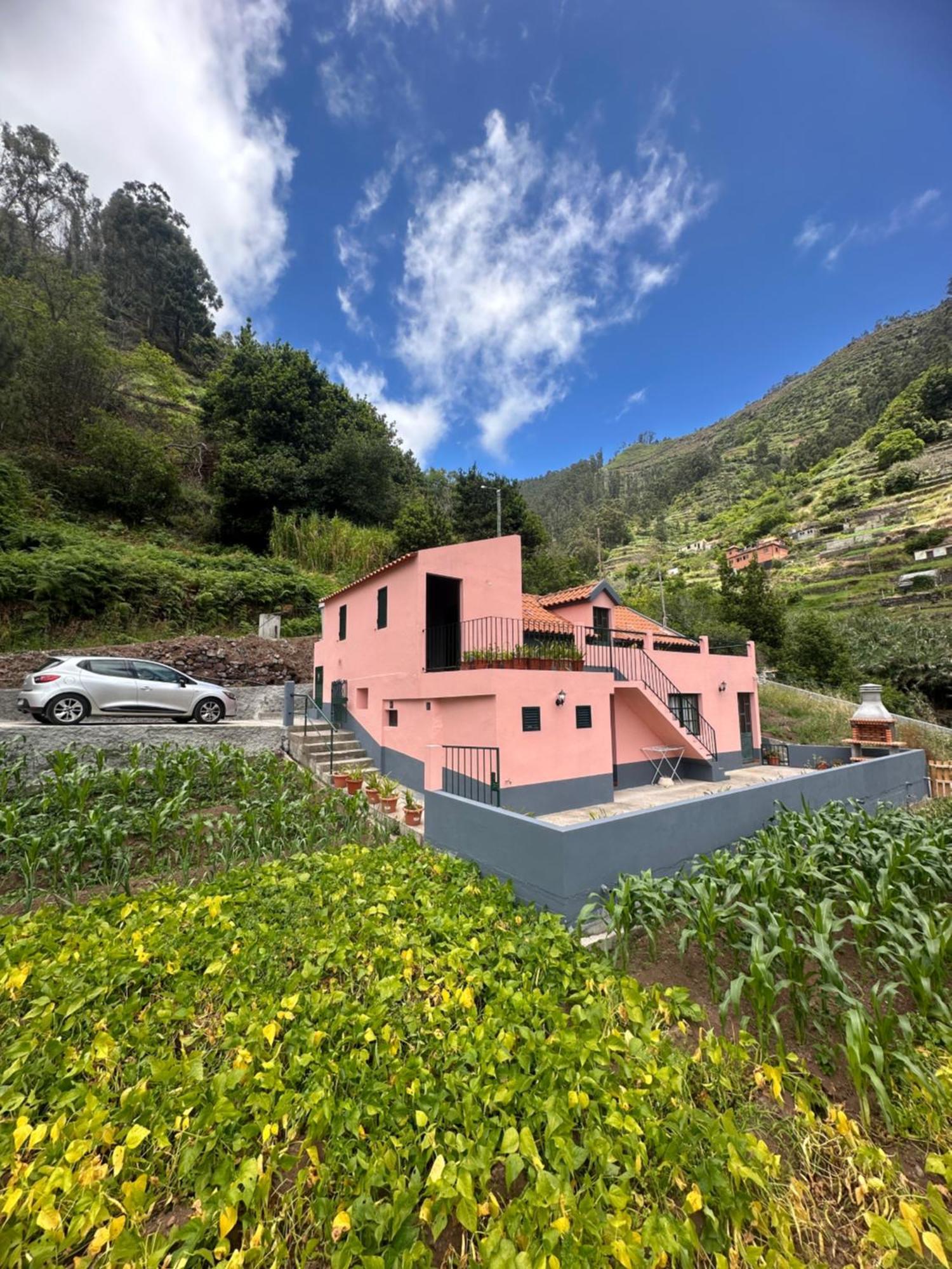Casa Rosa Βίλα Ribeira Brava Εξωτερικό φωτογραφία