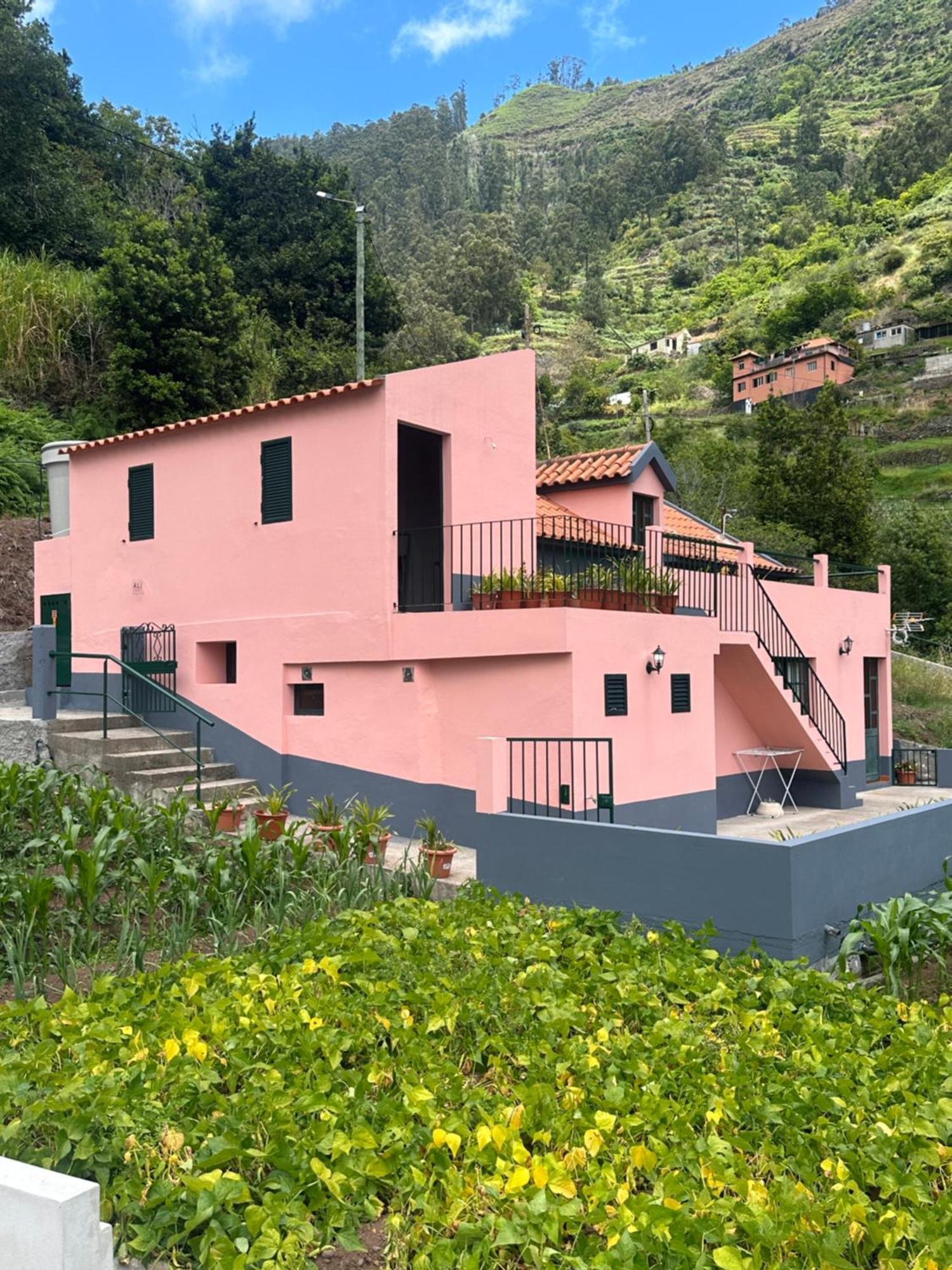 Casa Rosa Βίλα Ribeira Brava Εξωτερικό φωτογραφία