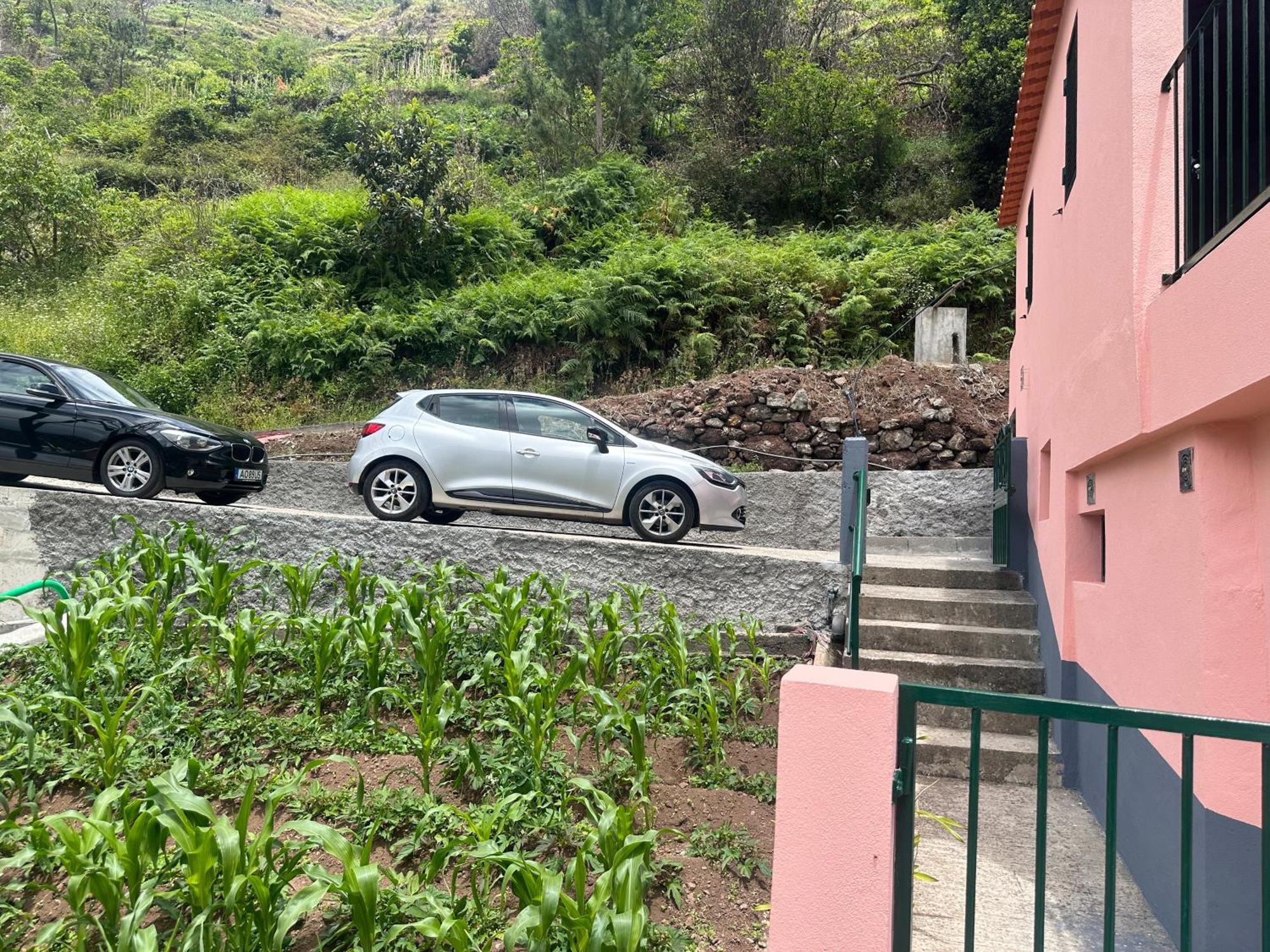 Casa Rosa Βίλα Ribeira Brava Εξωτερικό φωτογραφία