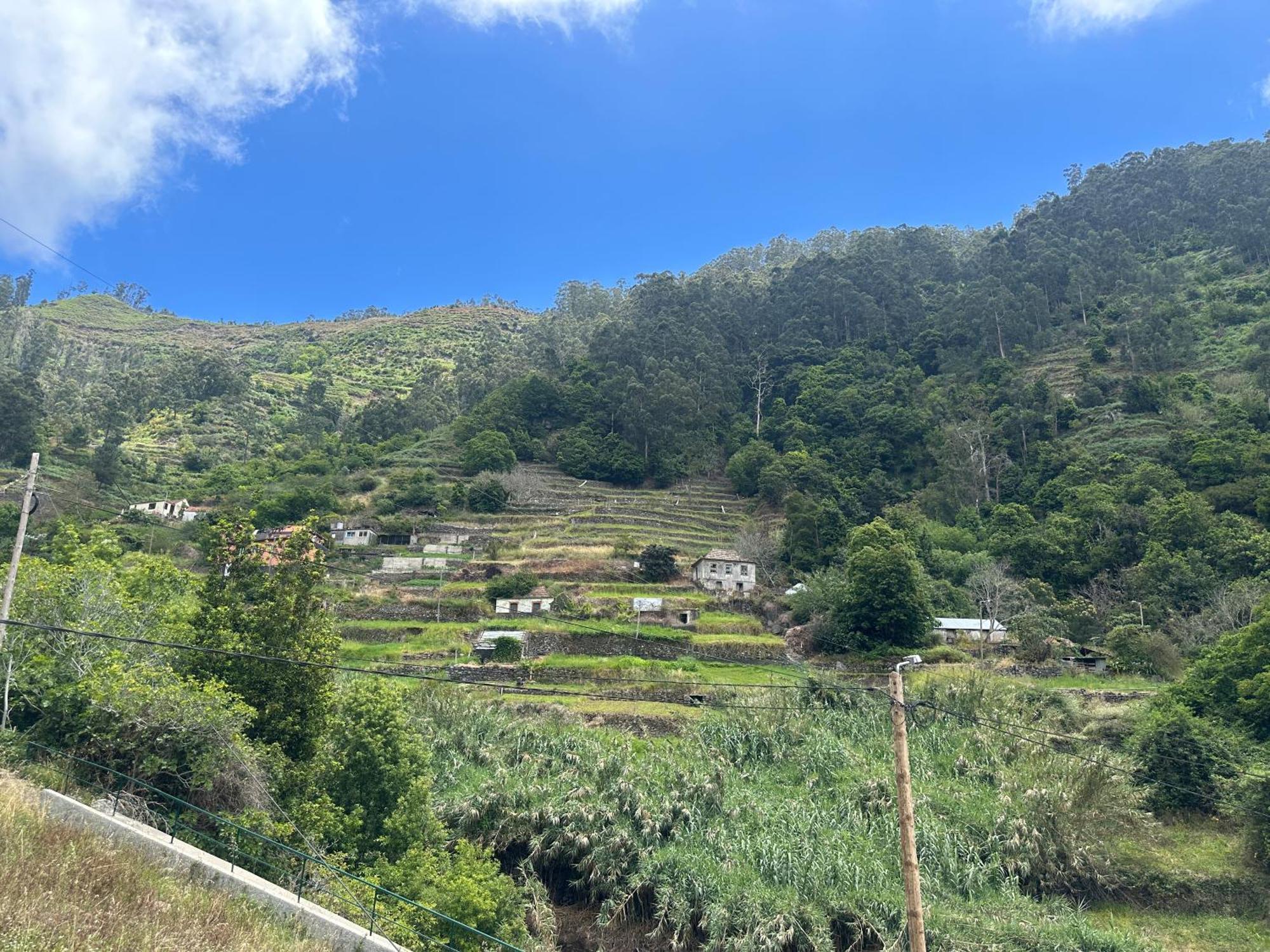 Casa Rosa Βίλα Ribeira Brava Εξωτερικό φωτογραφία